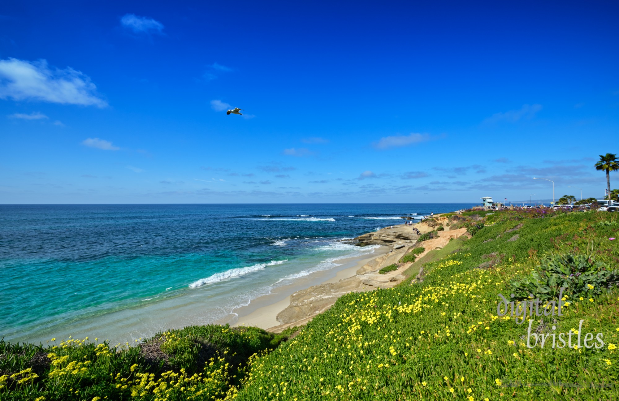 Scenic South Casa Beach, along La Jolla's Coast Boulevard