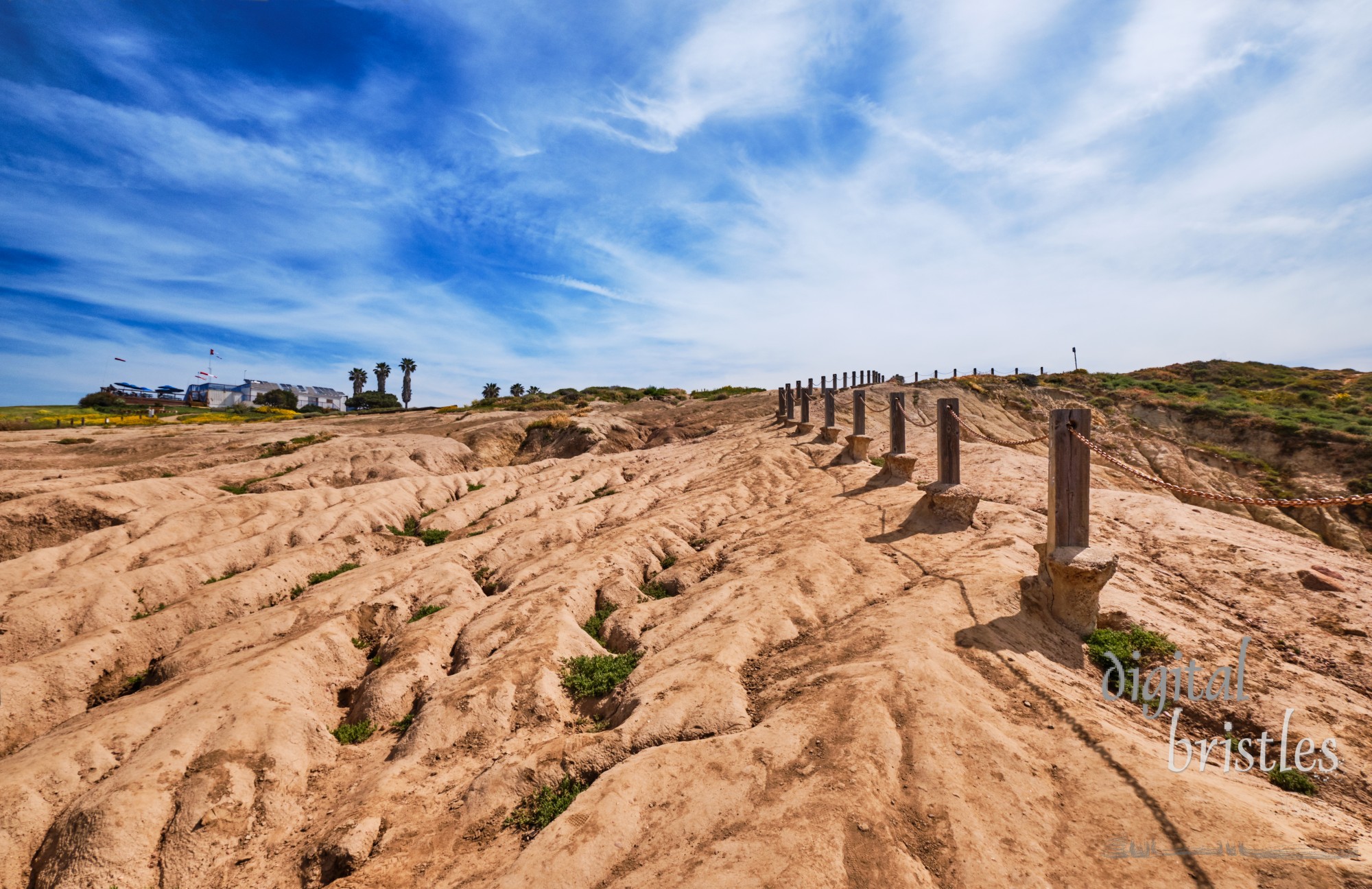 Deeply etched gullies at the top of unstable cliffs at Torrey Pines near the San Diego gliderport