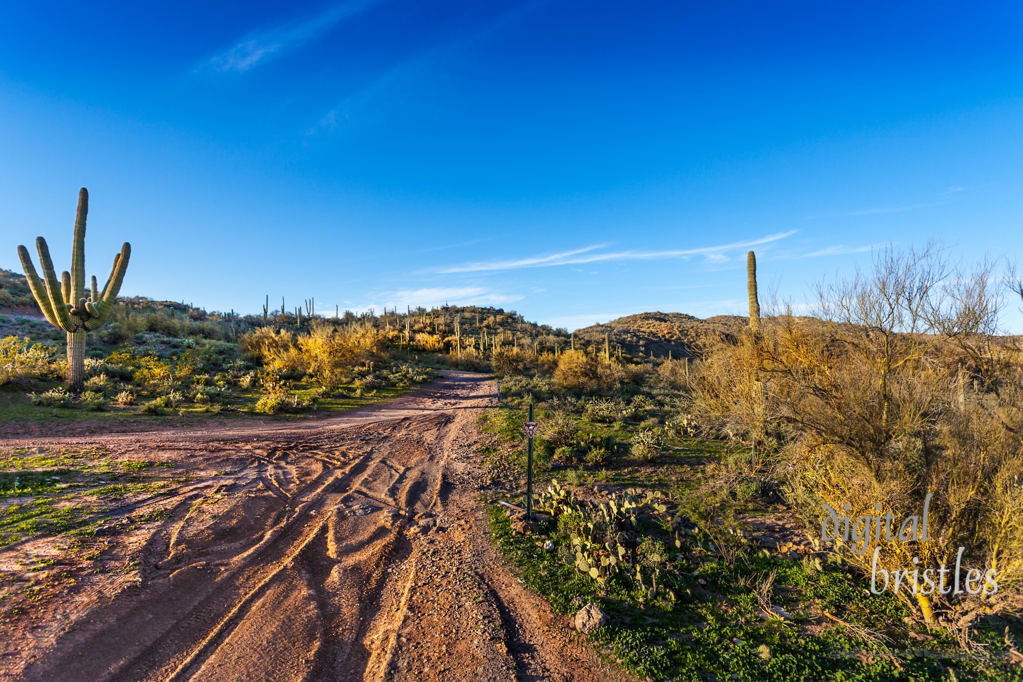 Black Canyon Trail in the Bradshaw Mountains Arizona, late on a Winter afternoon