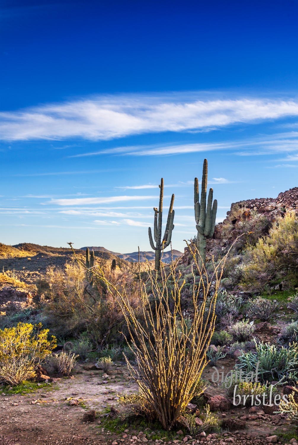 Cactus and rocks surround the ruins of an Indian fort (right) in Table Mesa. Bradshaw Mountains are in the background