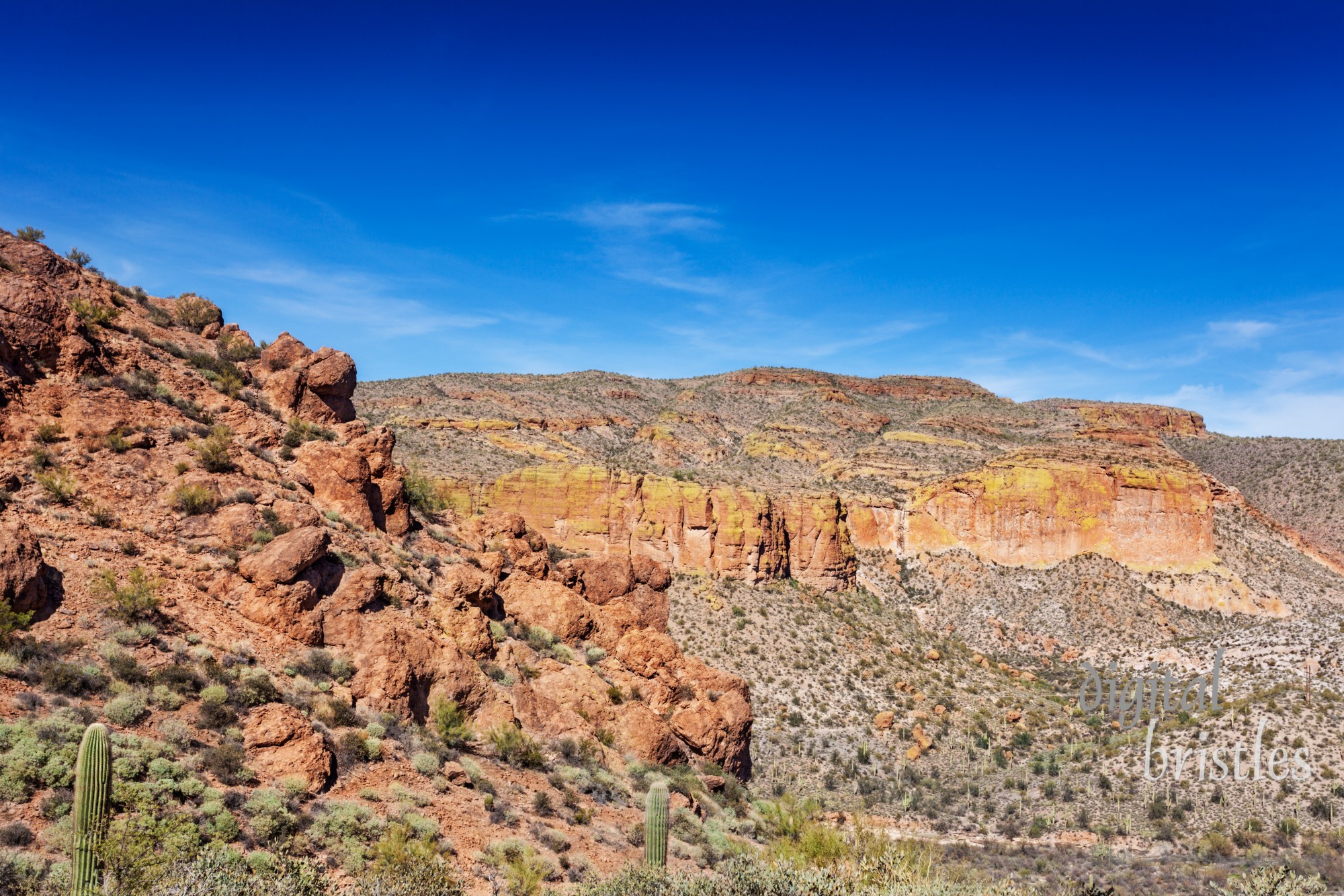 The Apache Trail through the Tonto National Forest has cliffs, saguaro and boulder-strewn hillsides lining the road. The yellow-green areas are lichen growing on the rock face