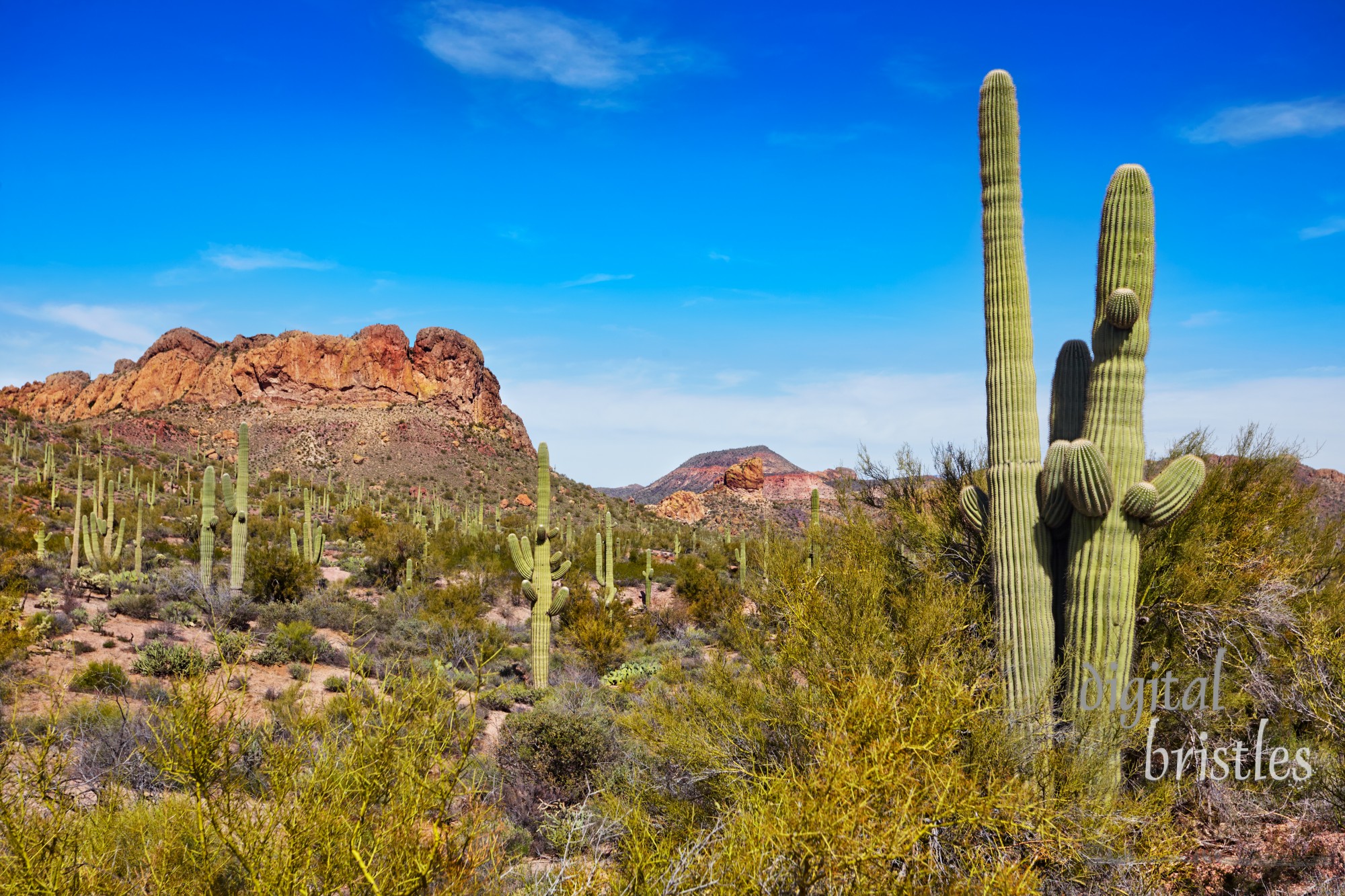 View from the roadside, near Apache Junction, Arizona