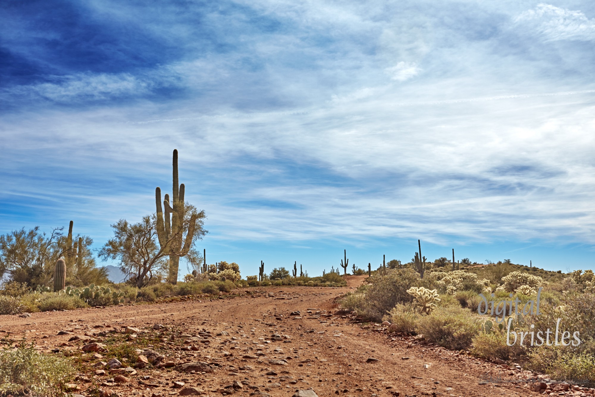 Steep uphill dirt road through Four Peaks Wilderness Area, Tonto National Forest, Arizona