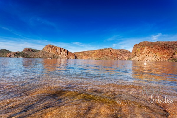 Arizona
