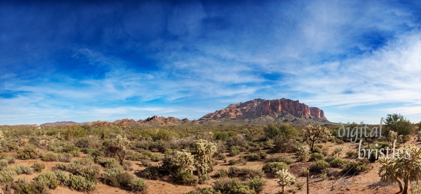 Arizona