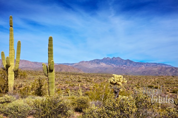 Arizona
