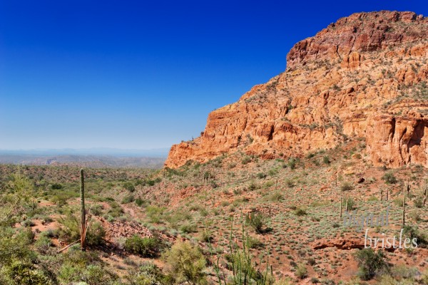 Arizona