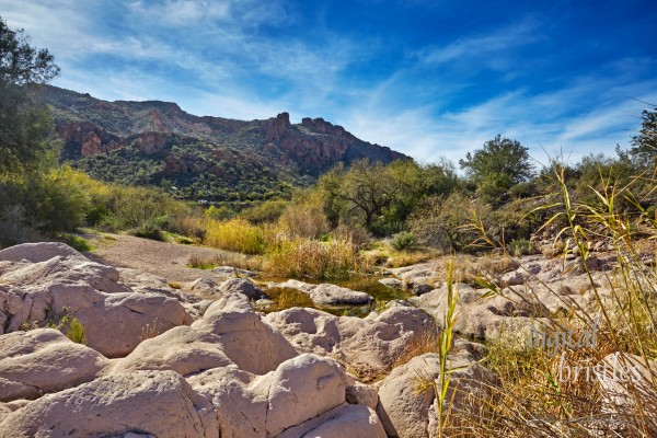 Arizona