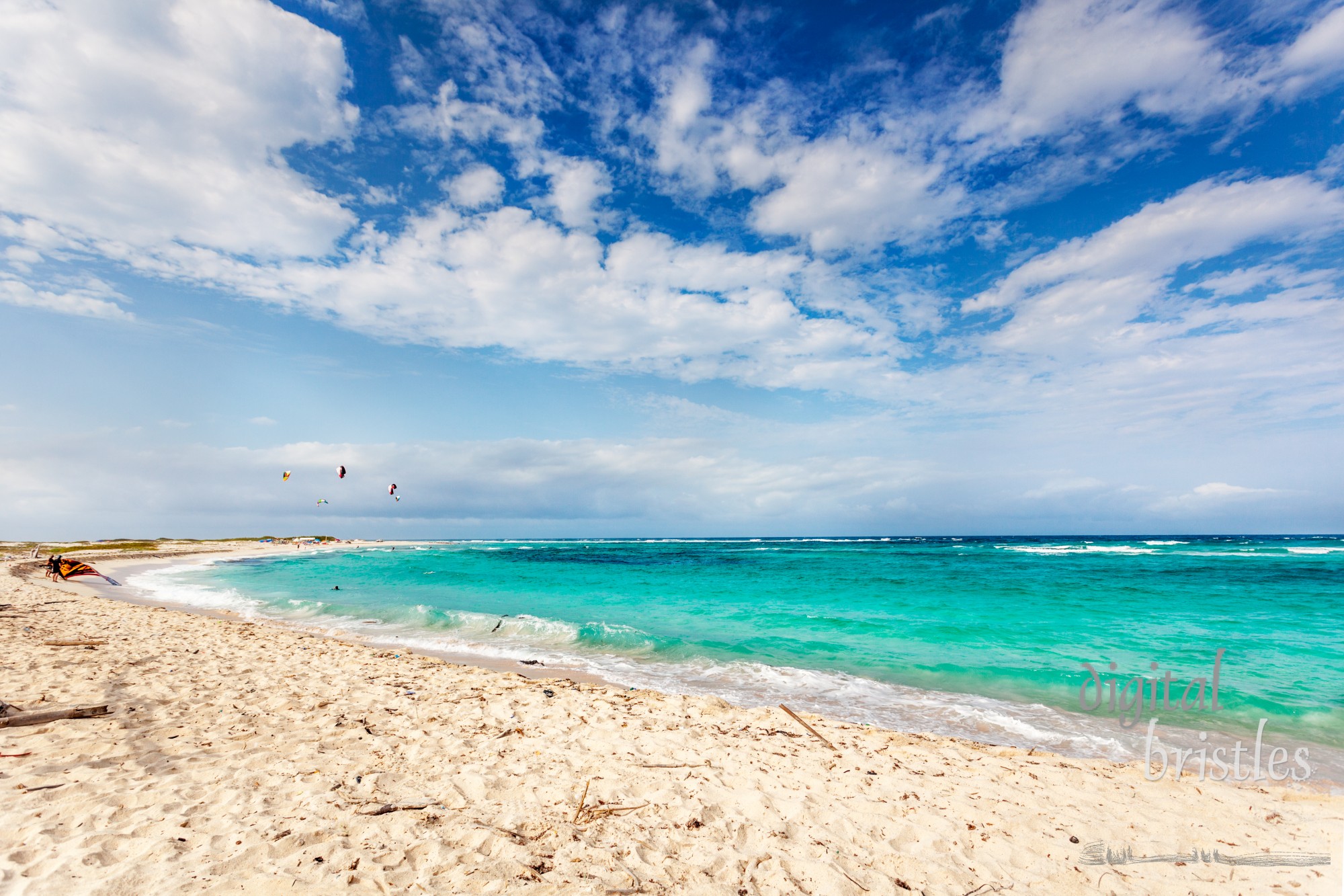 Kitesurfers enjoy a sunny windy afternoon at Aruba's Boca Grandi beach. It's on the windy east side of the island where steady trade winds and challenging waves make this an ideal beach for kiteboarding or kitesurfing.