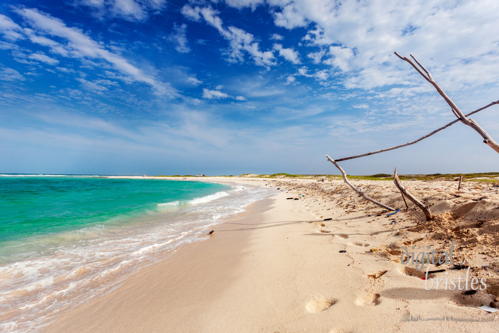 Driftwood on Aruba's windy Boca Grandi beach. It's on the east side of the island and kite surfing is a favorite passtime here - the strong winds and currents make it less appealing to swimmers