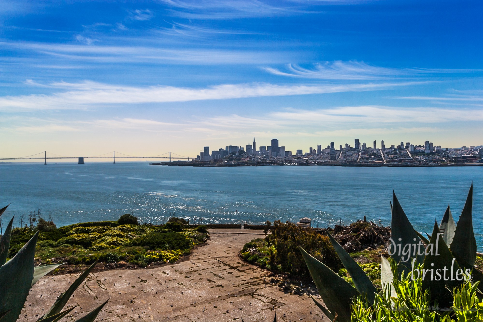 Downtown San Francisco and the Oakland Bay Bridge from the Warden's Garden on Alcatraz Island