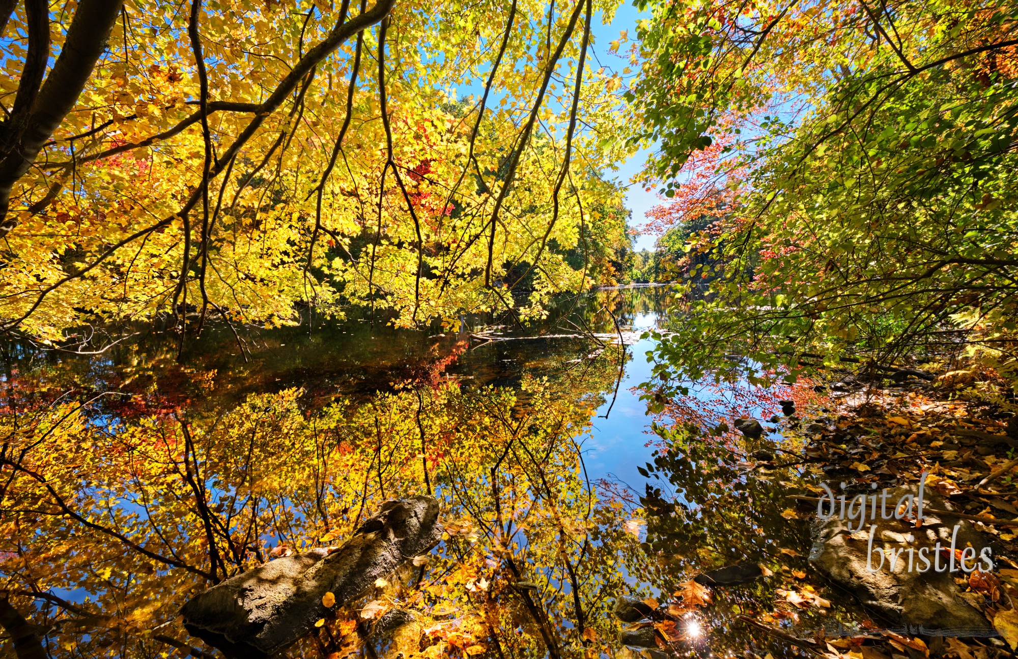 Branches covered with Autumn foliage overhang the Charles River bank at Charles River Peninsula park, Needham, Massachusetts