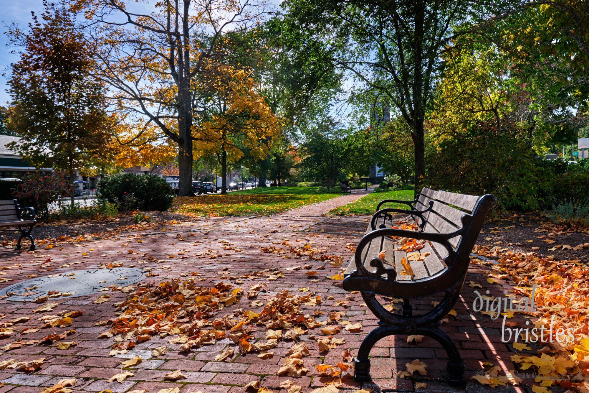 A sunny park bench on an Autumn morning in Wellesley, Massachusetts. Elm Park is also known as Clocktower Park