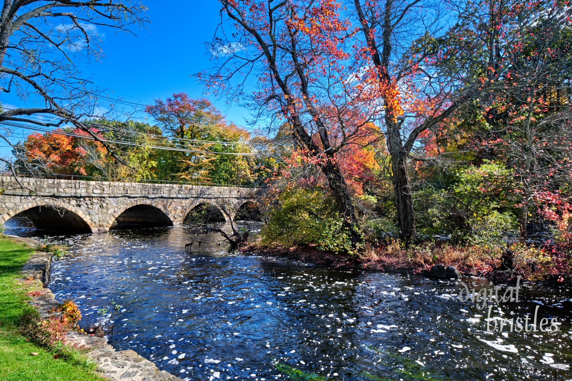 Horace Holyoke Island in the Charles River, just upstream of the Pleasant Street Bridge, South Natick