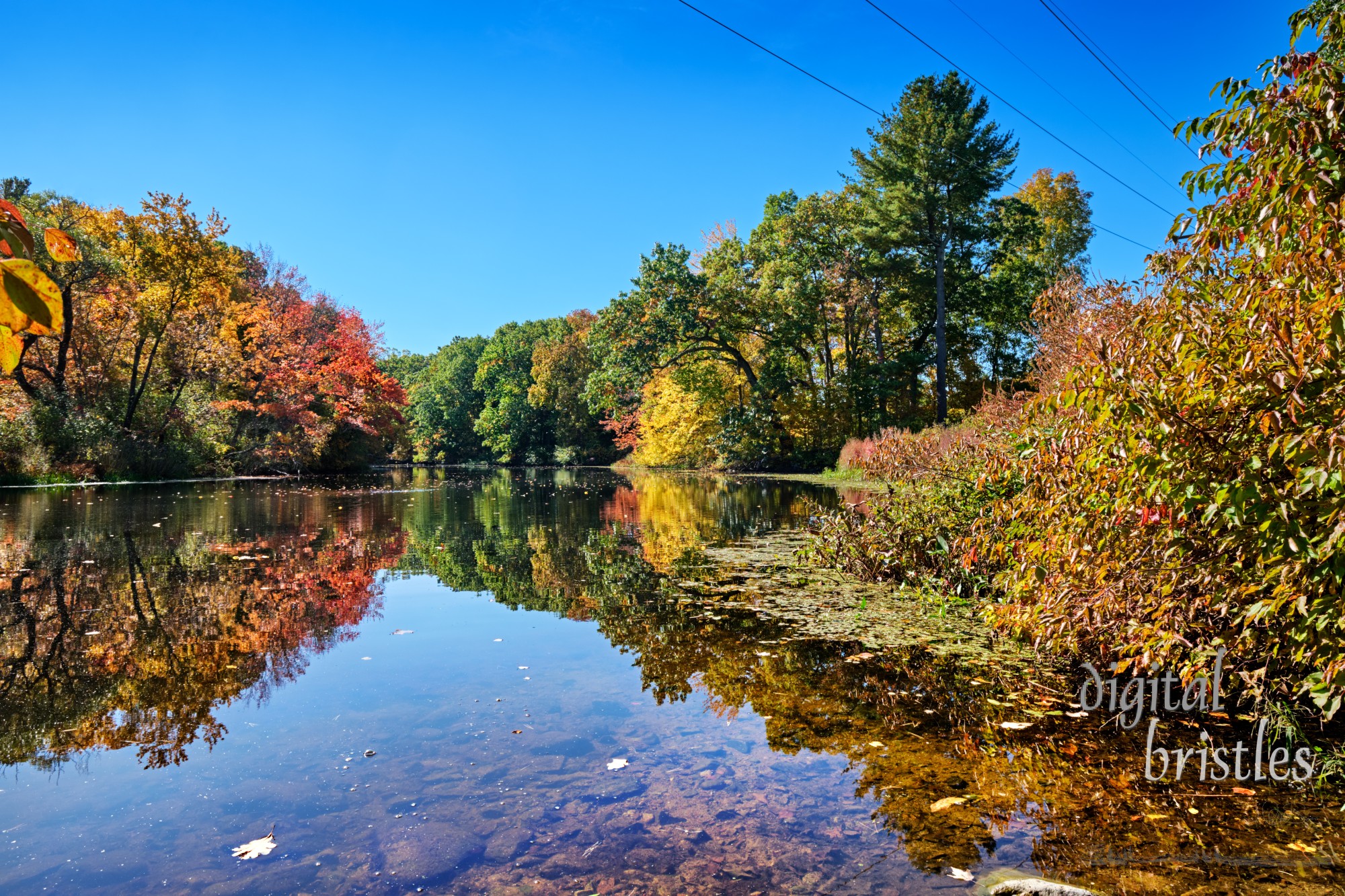 Shallow entrance to the Charles River at a quiet bend in the Charles River Peninsula park