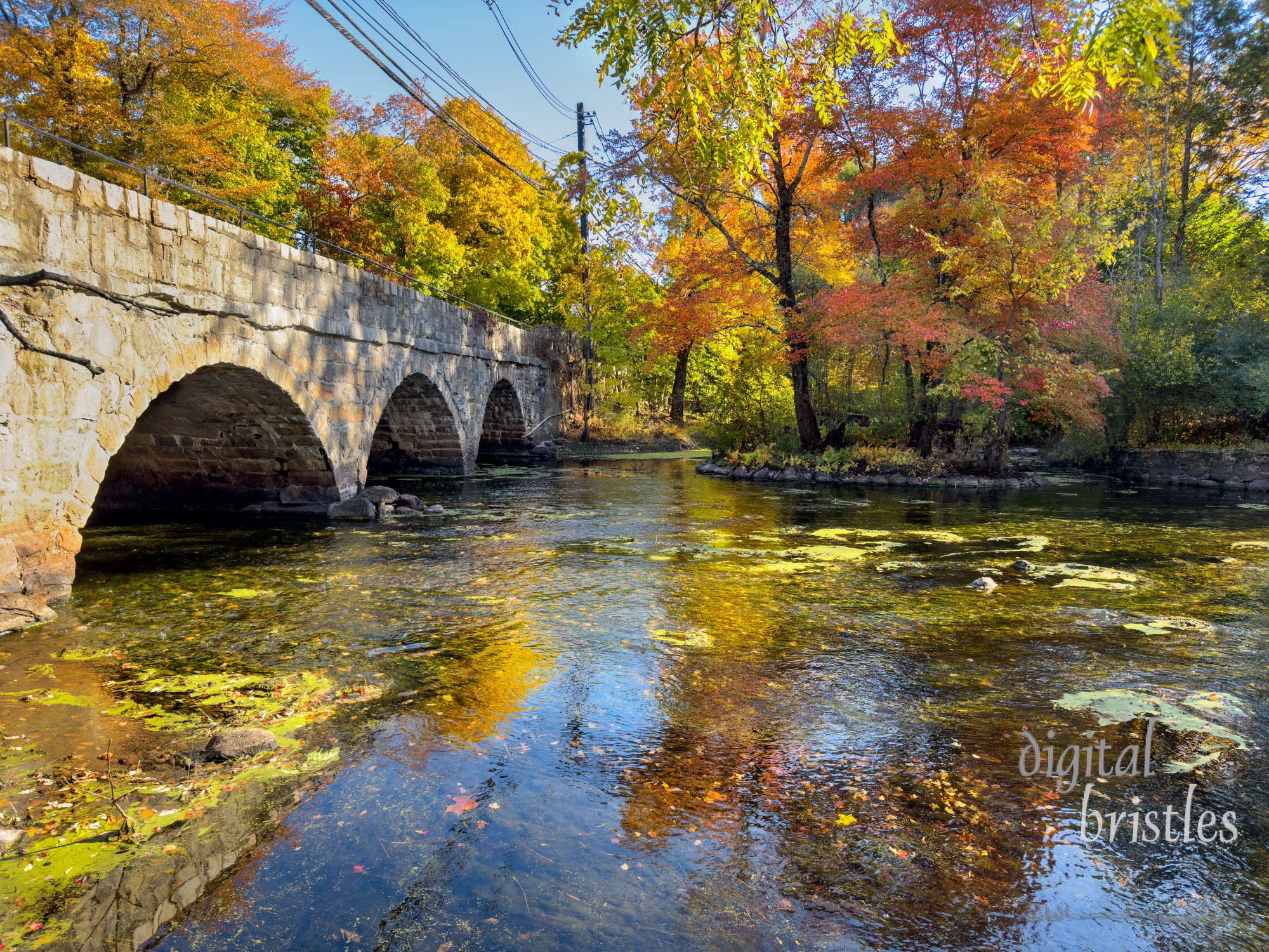 Exceptionally low water levels on the Charles River, Natick, Massachusetts, on a sunny Autumn afternoon