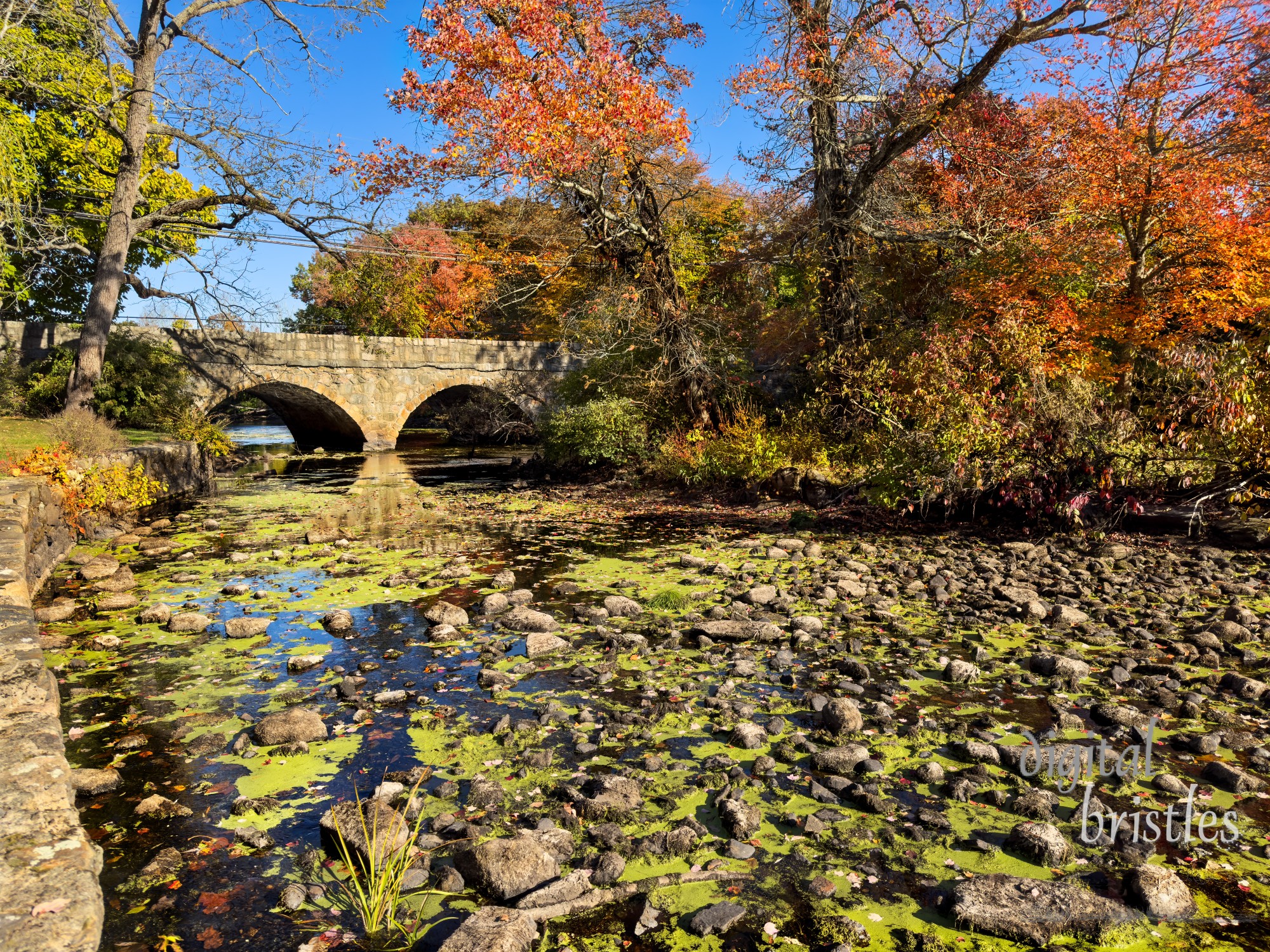 Rocks exposed by low water in the Charles River by the Pleasant Street bridge