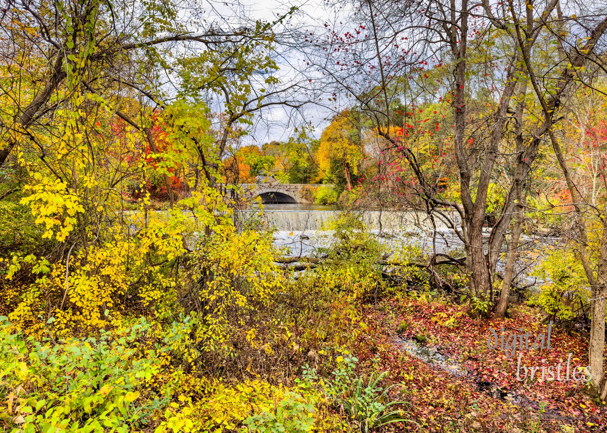 Fall leaves frame the Cochran Dam and South Street Bridge over the Charles River