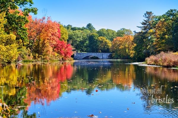 Boston