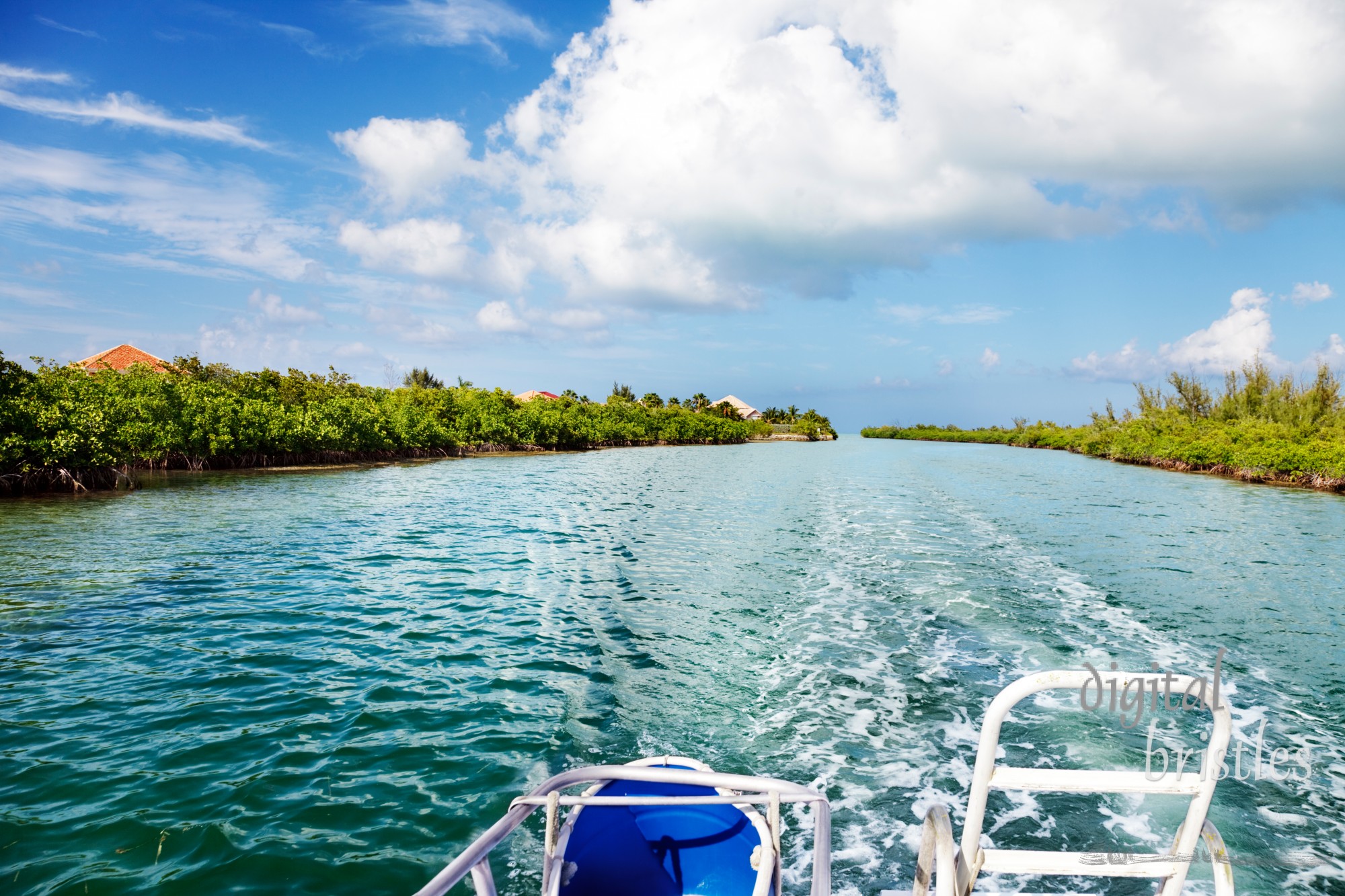 Boat heads back to the dock from the ocean via a channel between the mangroves