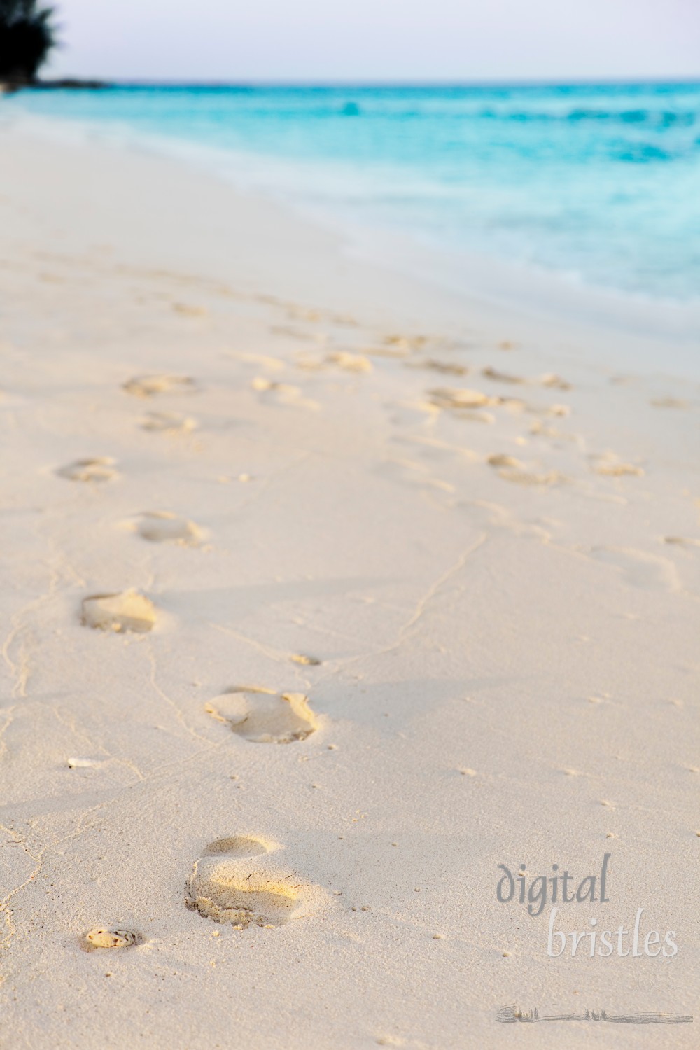 Footprints in the early morning light