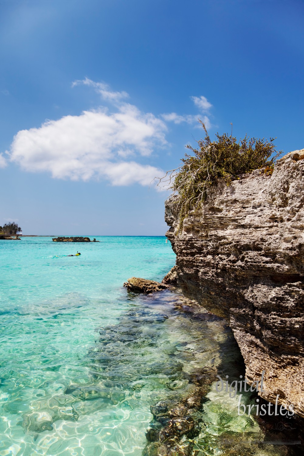 Man snorkels away from the beach at Smith Cove, Grand Cayman