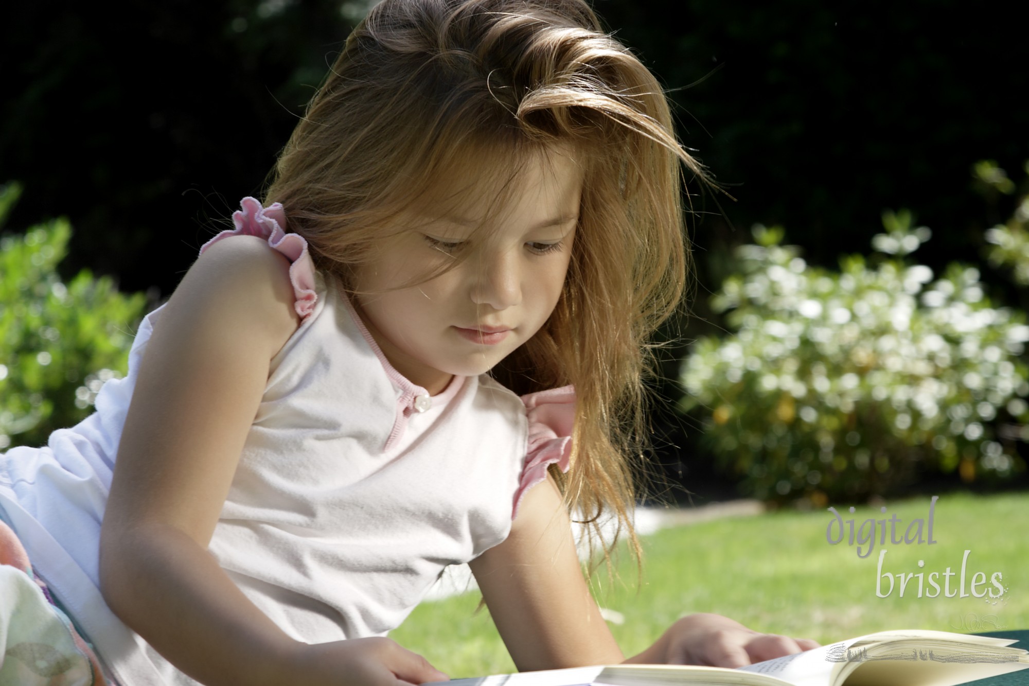 Young girl concentrating hard on a chapter book