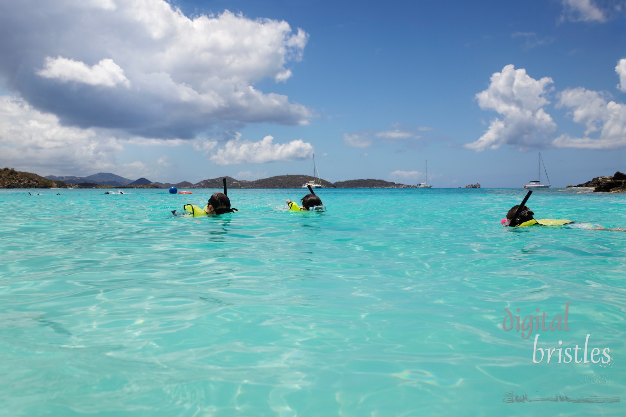 Young girl swims to her Dad and brother, snorkeling in St. John