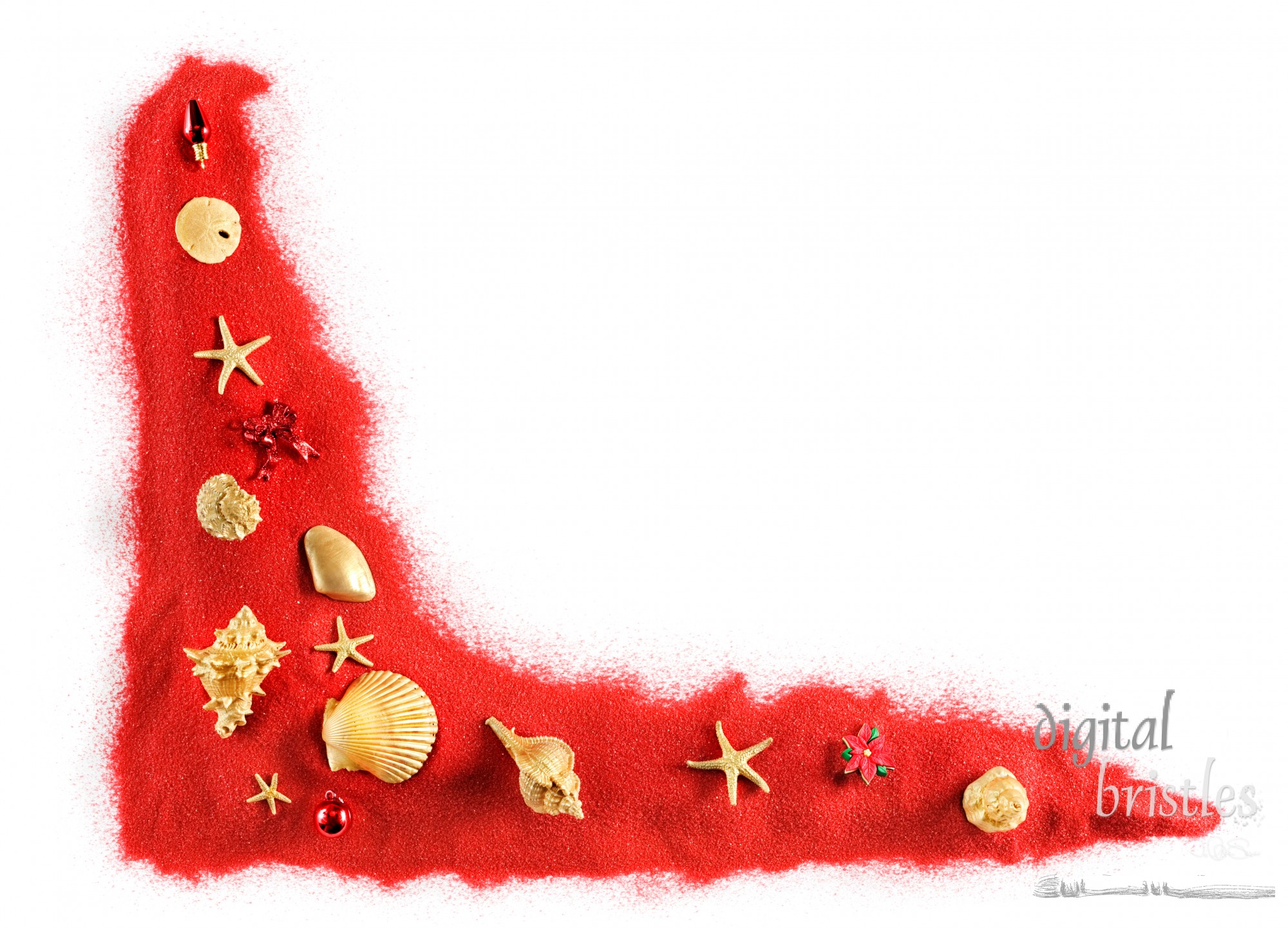 Gold shells, ornaments & starfish on red sand