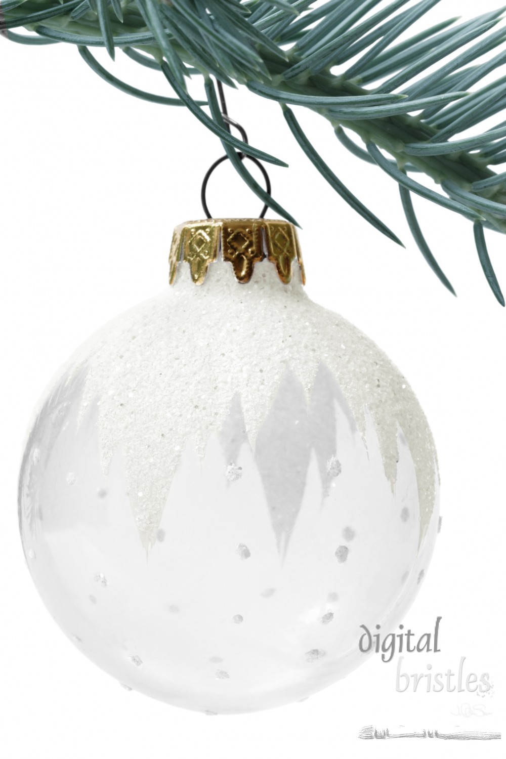 Glass ornament on sitka spruce branch