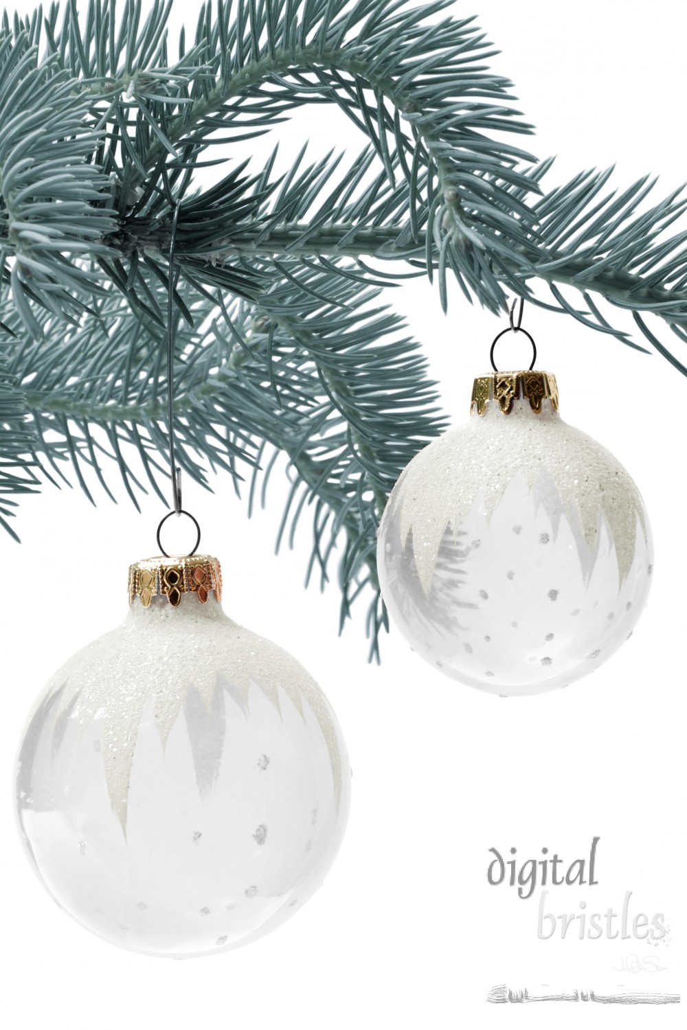 Glass ornaments on sitka spruce branches, vertical