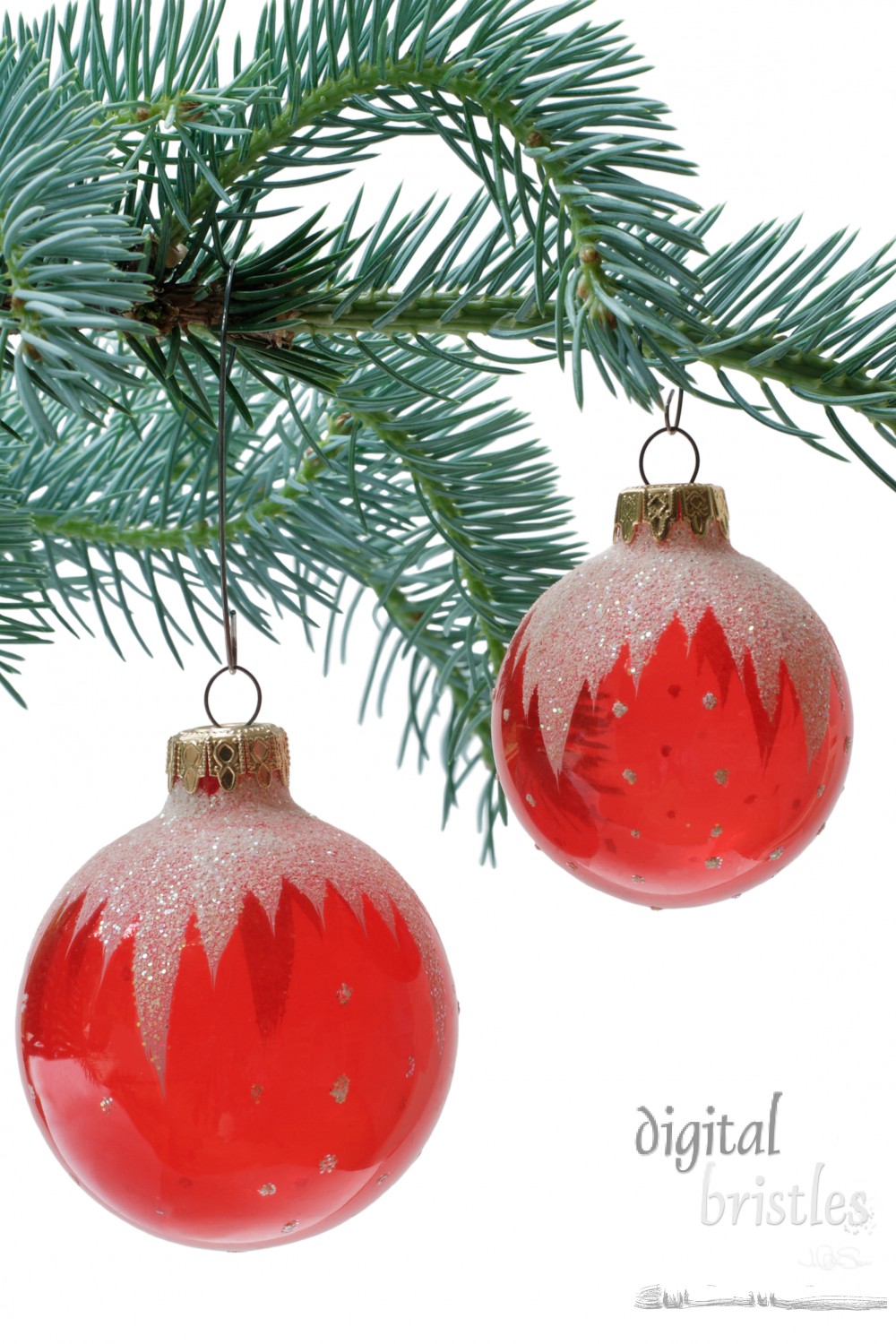 Red glass ornaments on sitka spruce branches, vertical