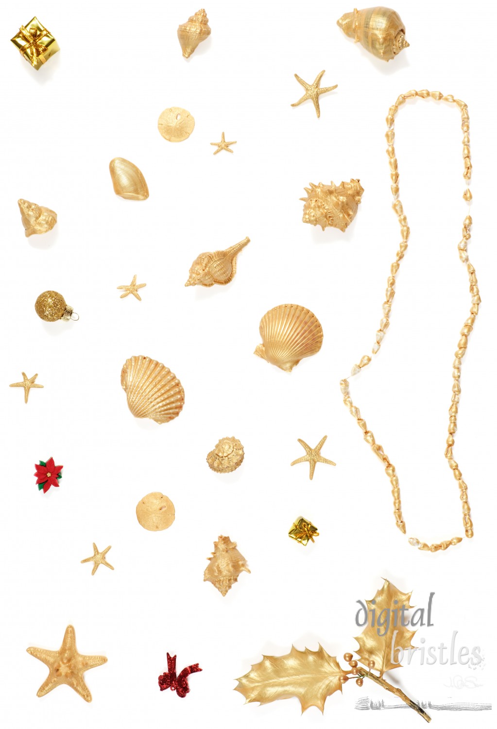 Gold shells, holly, starfish, sand dollars and Christmas ornaments