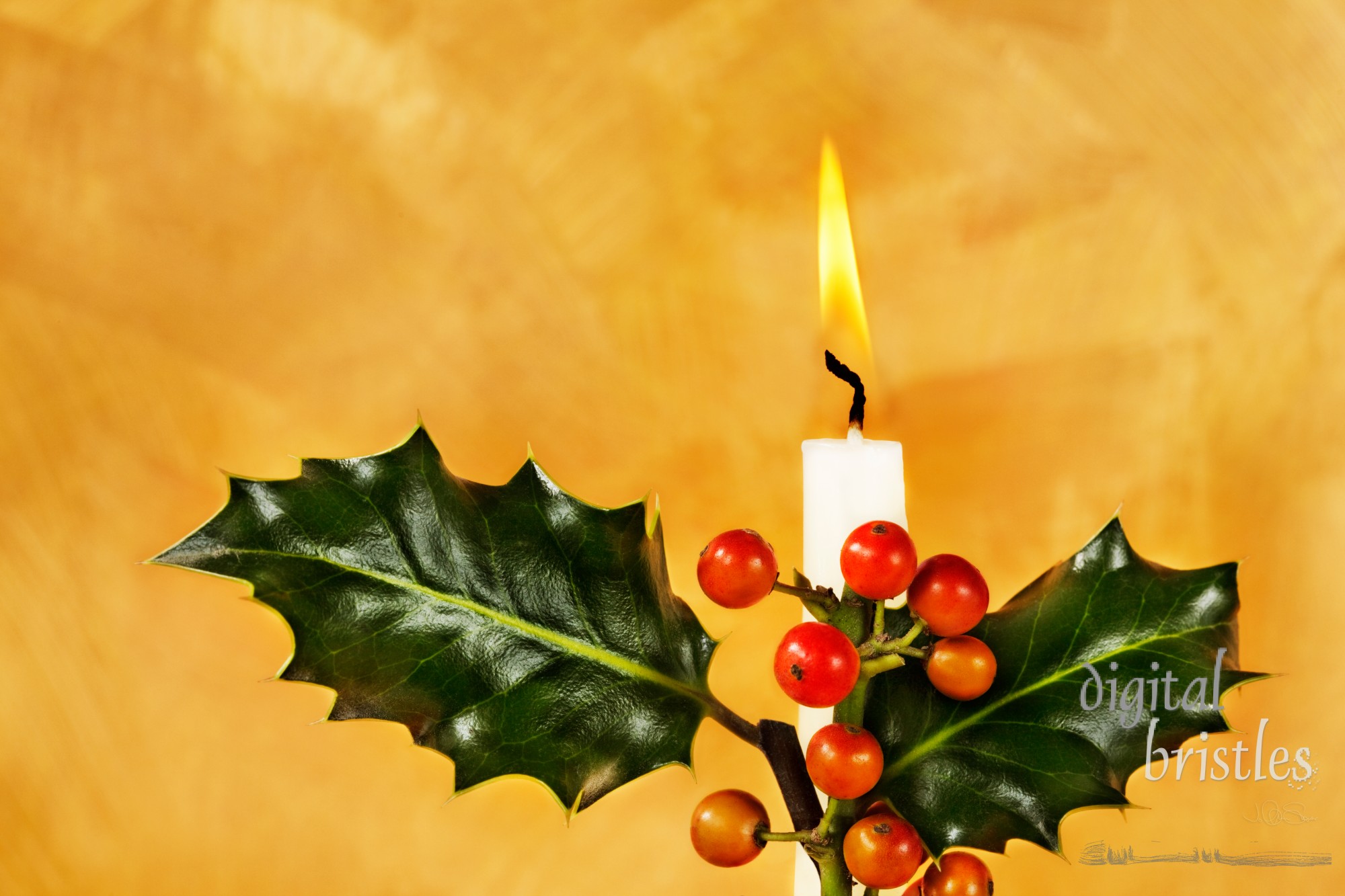 Candle, holly & berries in front of hand painted gold background