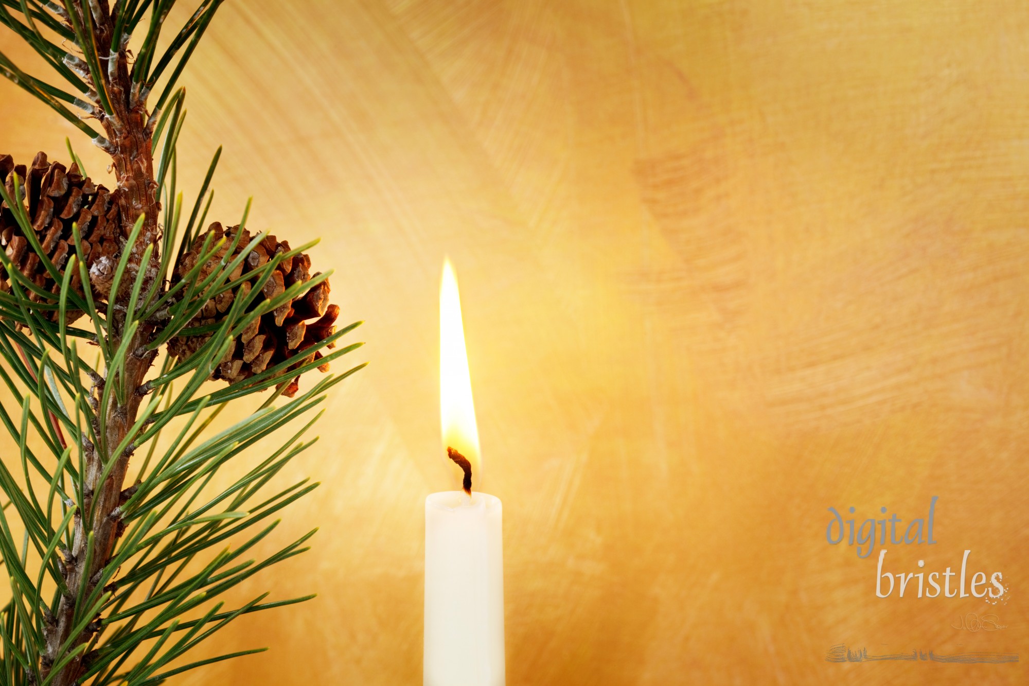 Candle, pine branch and pine cone in front of hand painted gold background