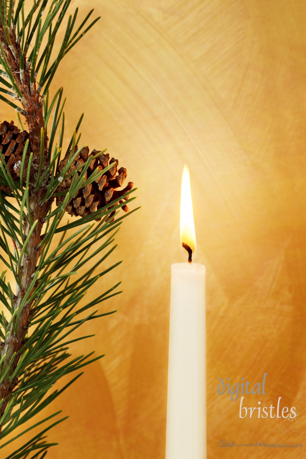 Candle, pine branch and pine cone in front of hand painted gold background