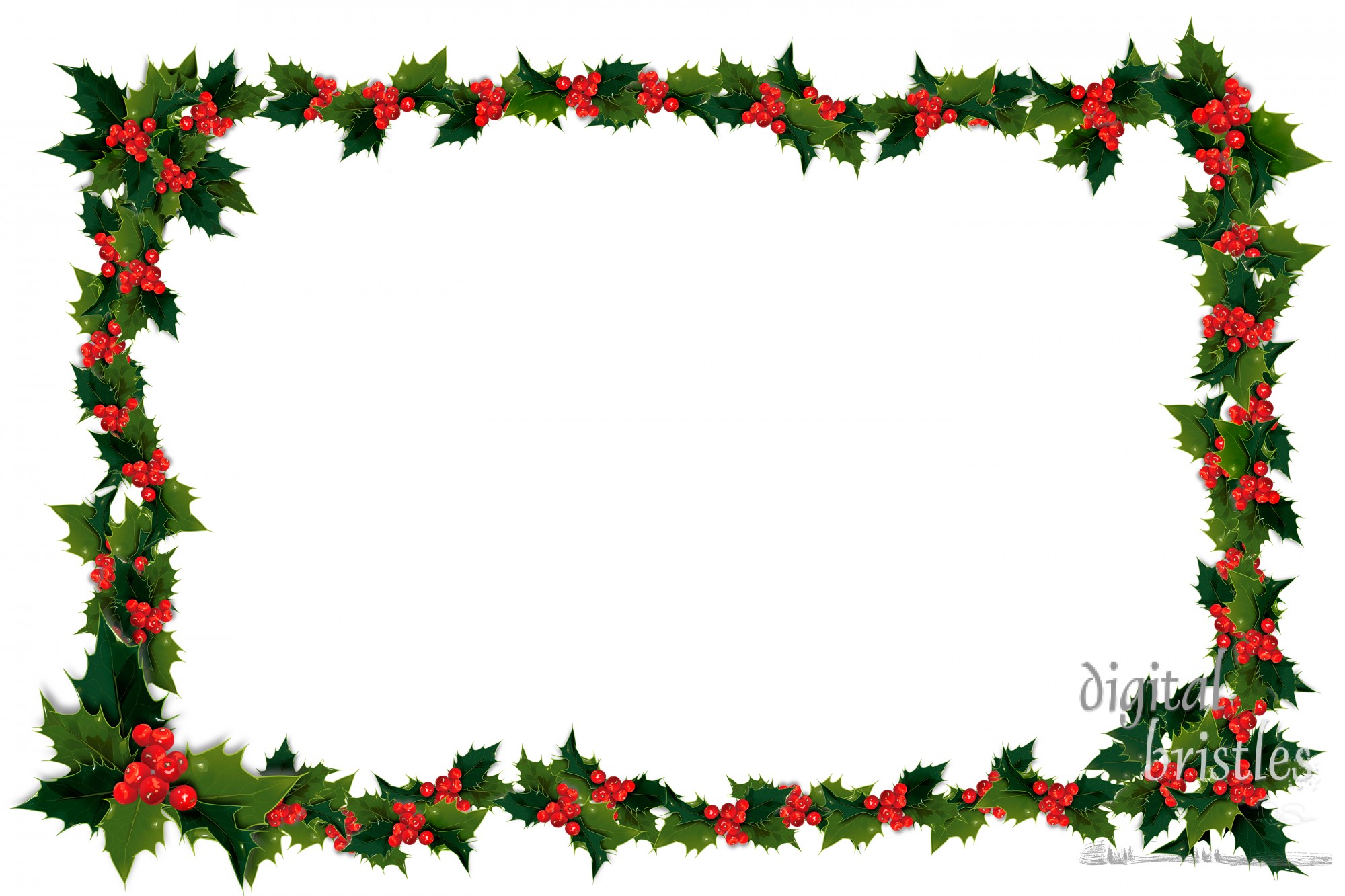 Illustation of holly leaves and berries in a frame