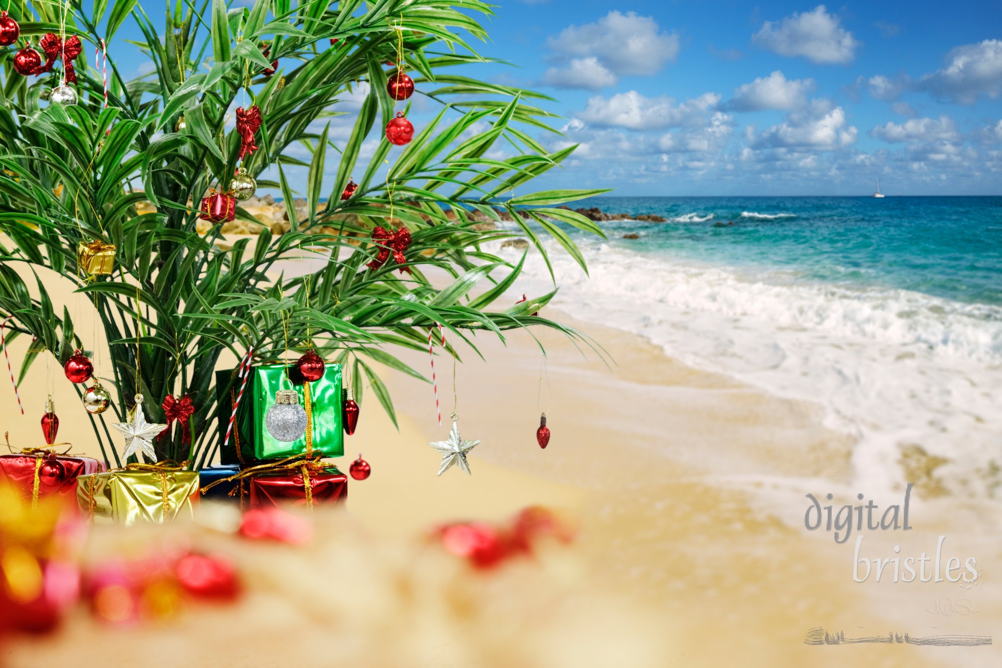 Decorated palm and presents on the beach