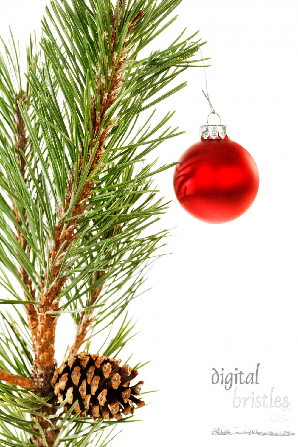 Christmas tree branch with pine cone and red bauble