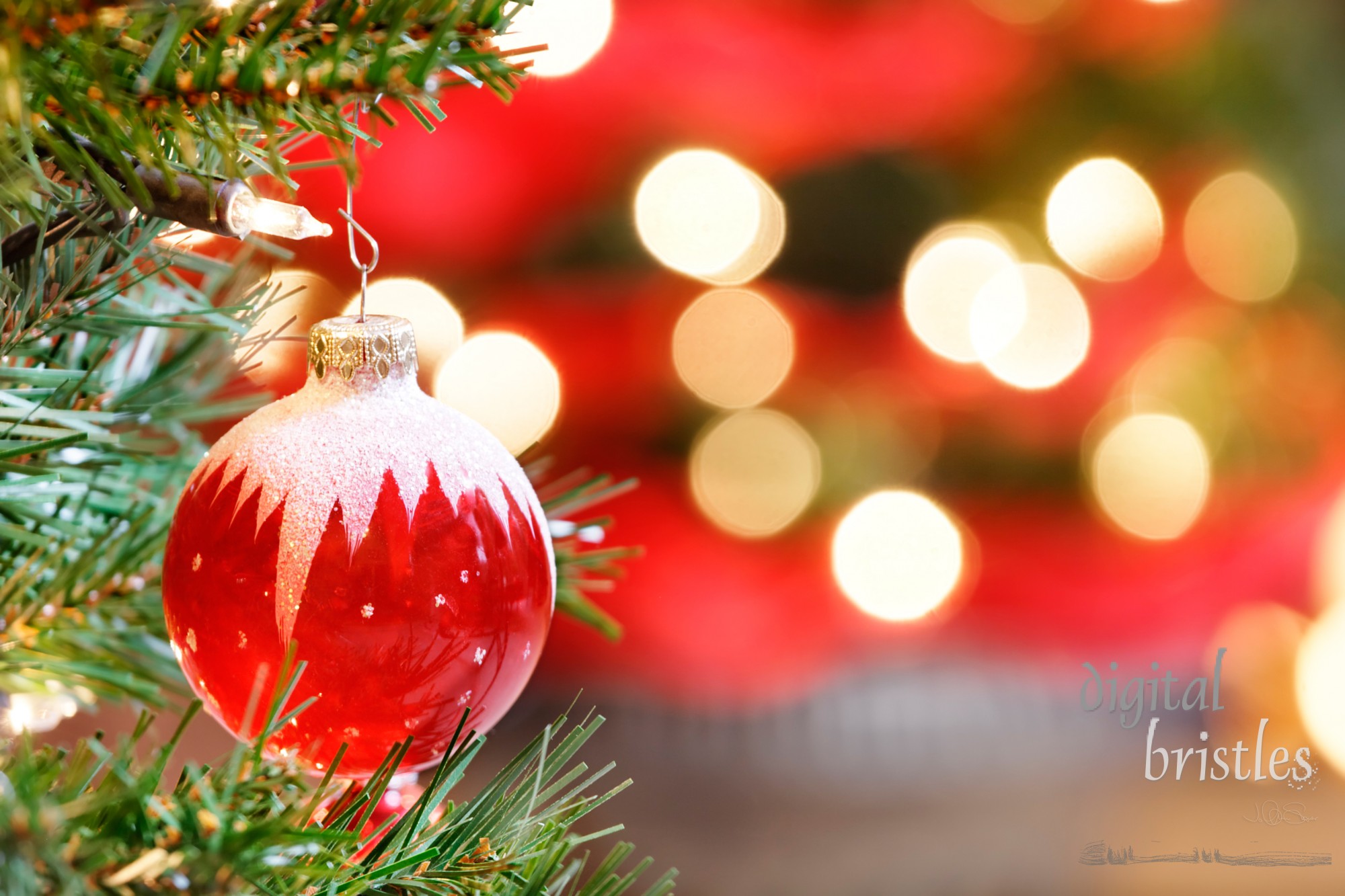 Red and white glass Christmas Tree ornament surrounded by lights