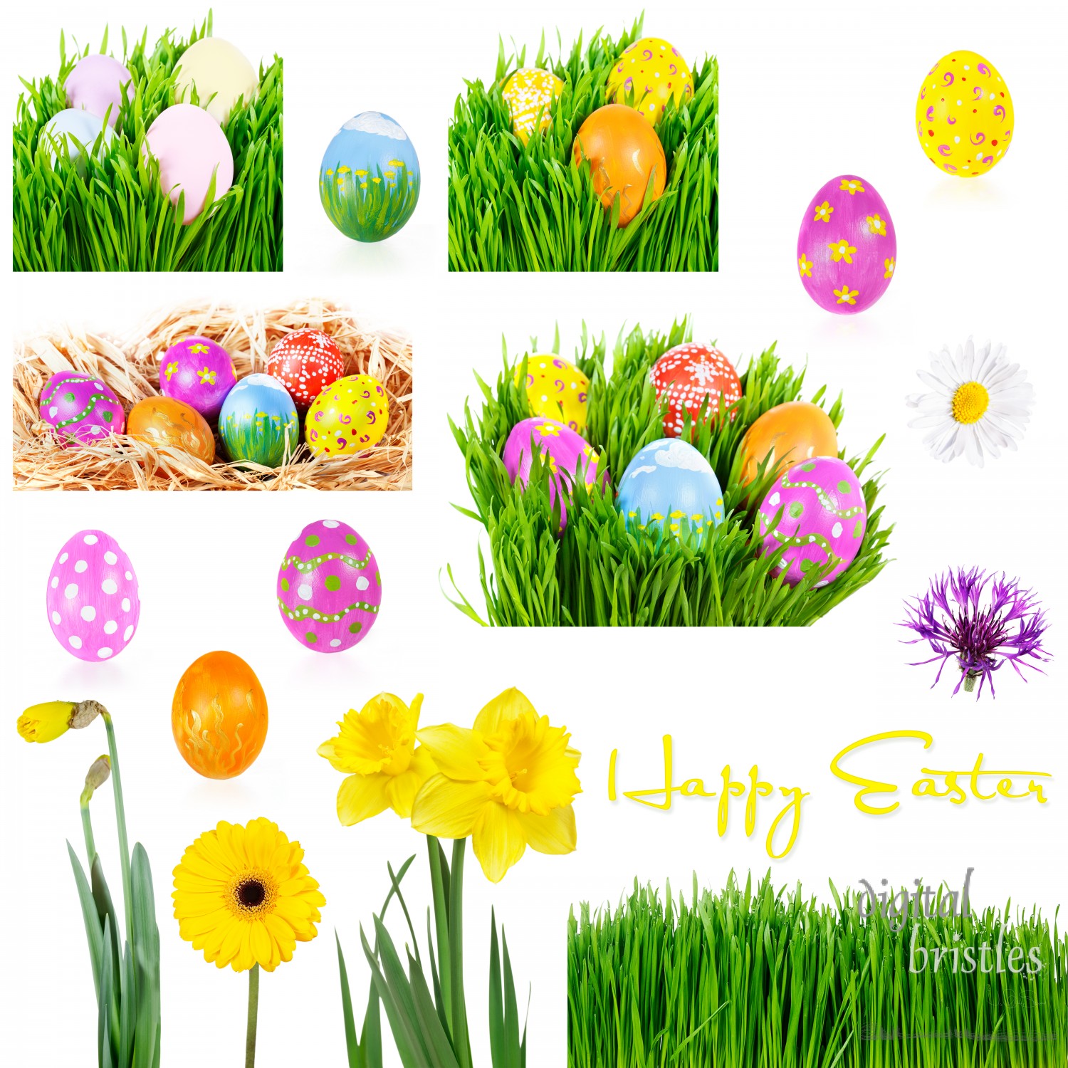 Grass, painted eggs, flowers and nests for Easter decorations