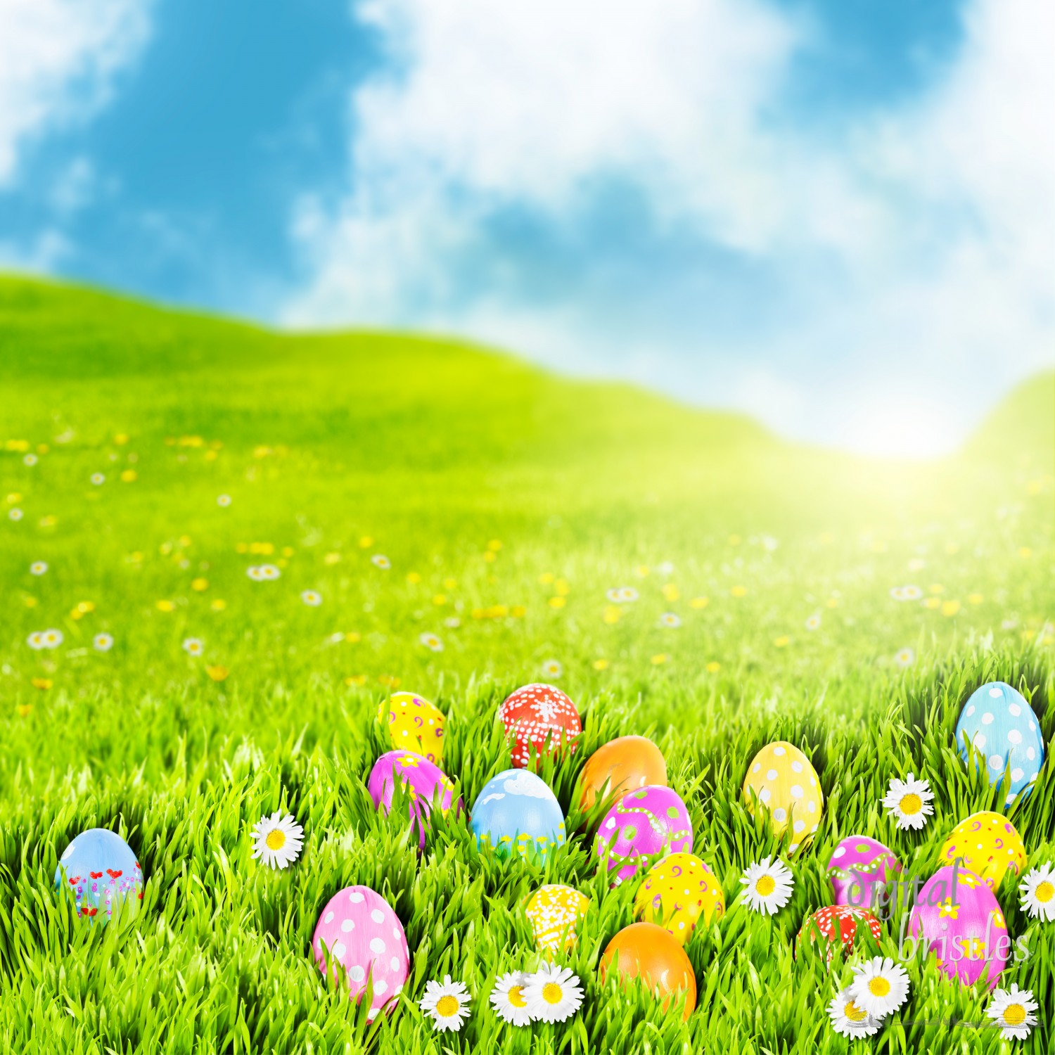 Easter eggs nestled in a sunny meadow