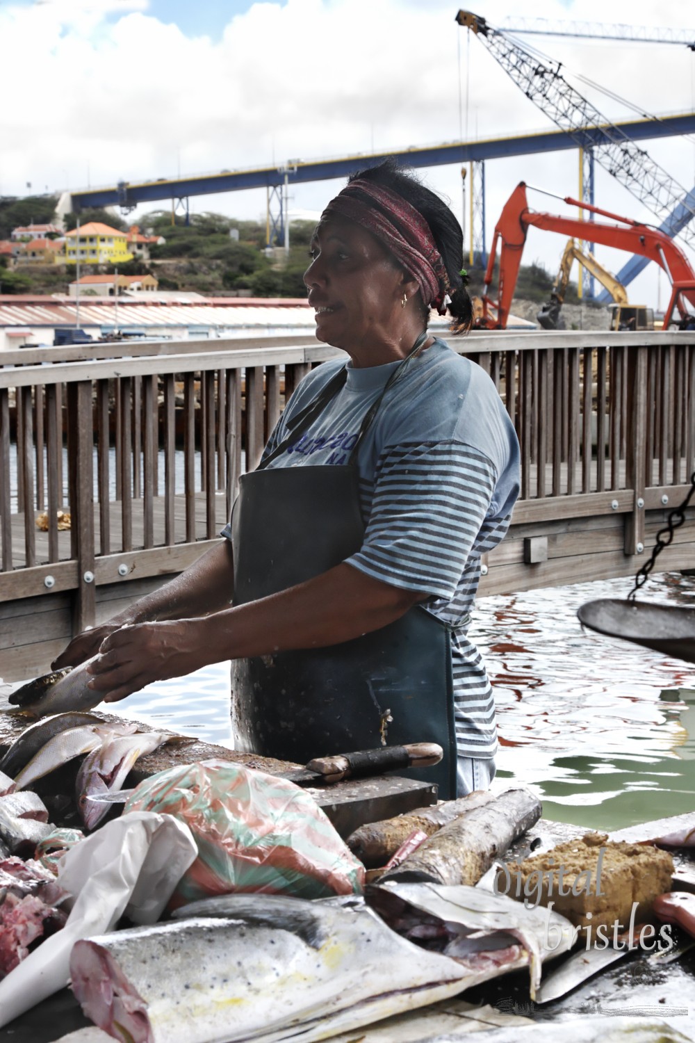 Practiced hands scale fish and talk about the day's catch. Floating fish market, Curacao