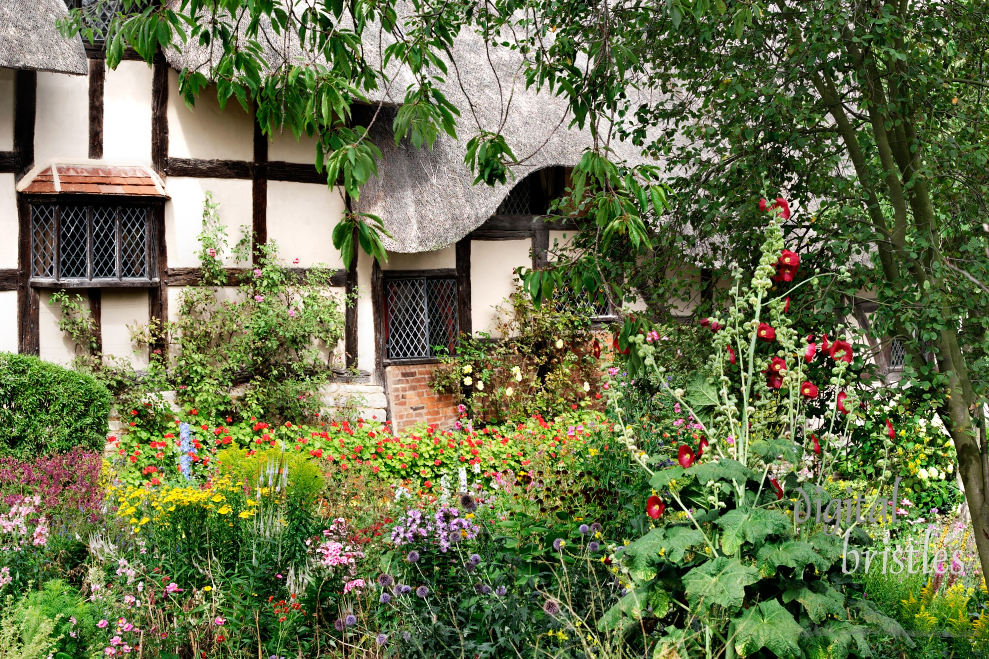 Charming chaos of an English cottage garden in summer