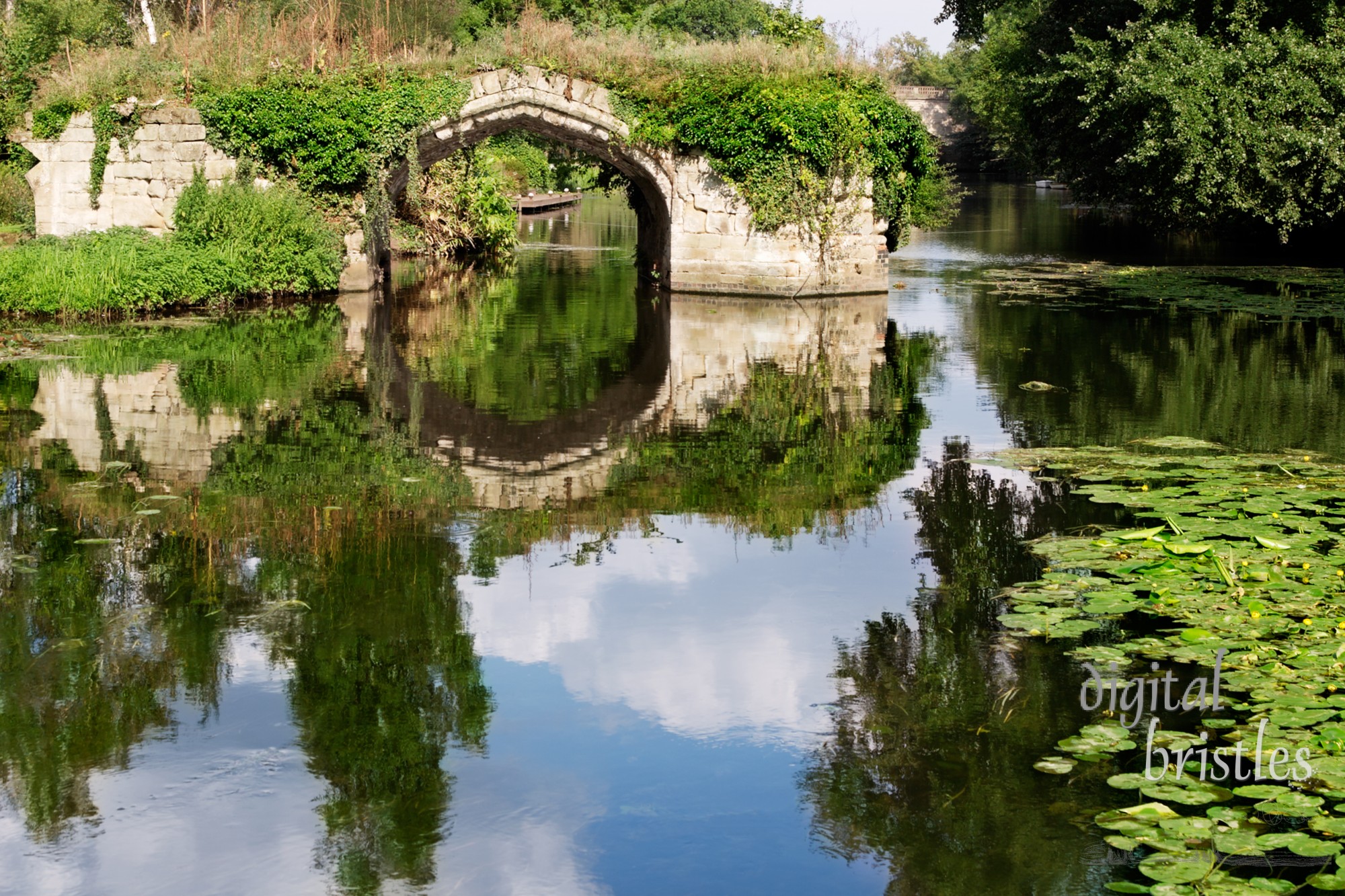 Overgrown disused waterway