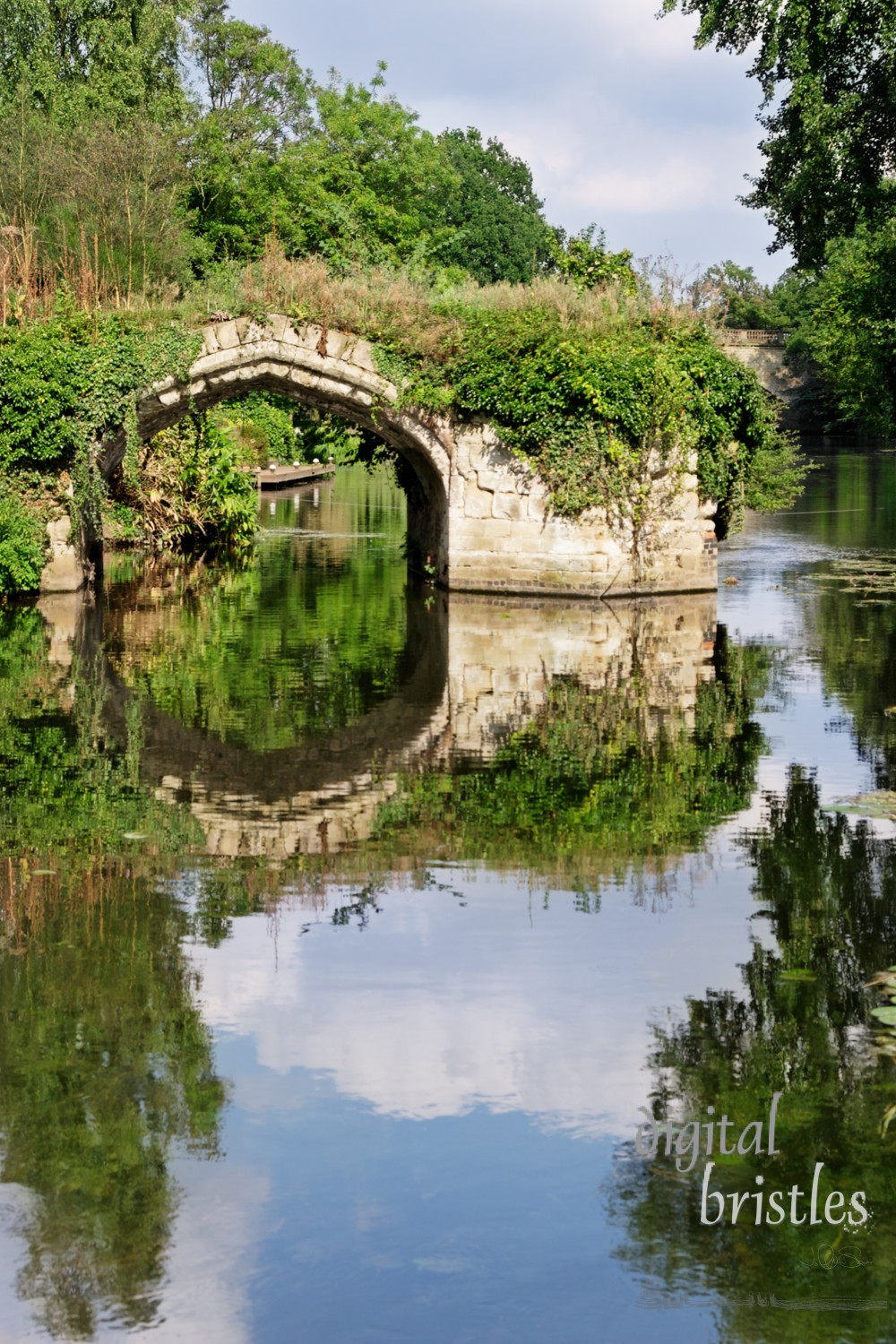 Overgrown disused waterway