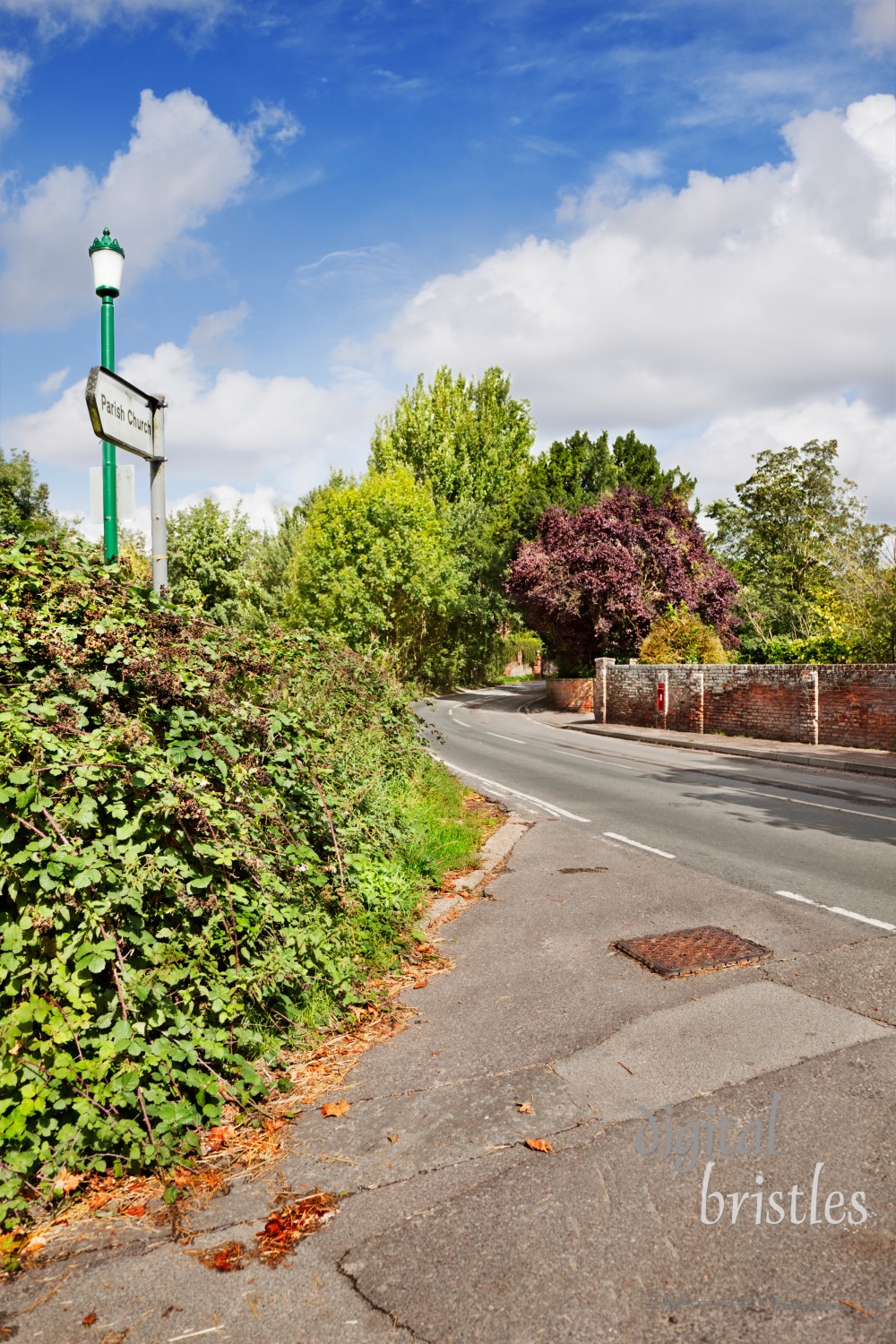 Blackberry brambles line a rural street by the Parish Church in the pretty village of Hollingbourne in Kent, England