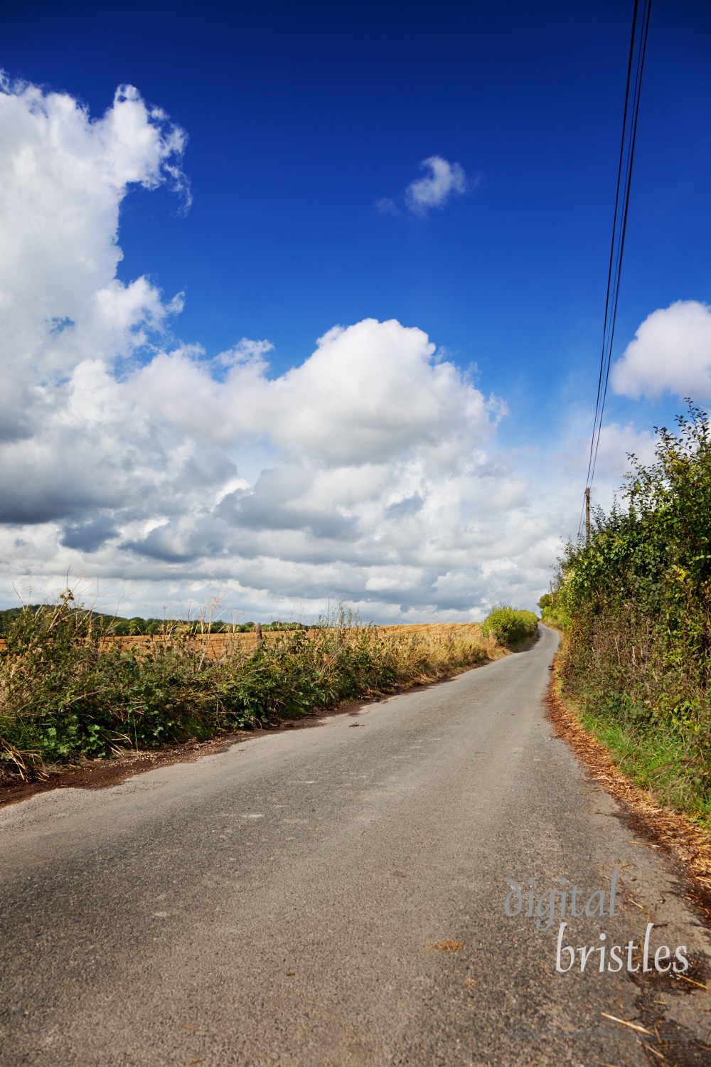 Typical narrow country road with high hedgerows in Hollingbourne, Kent, England