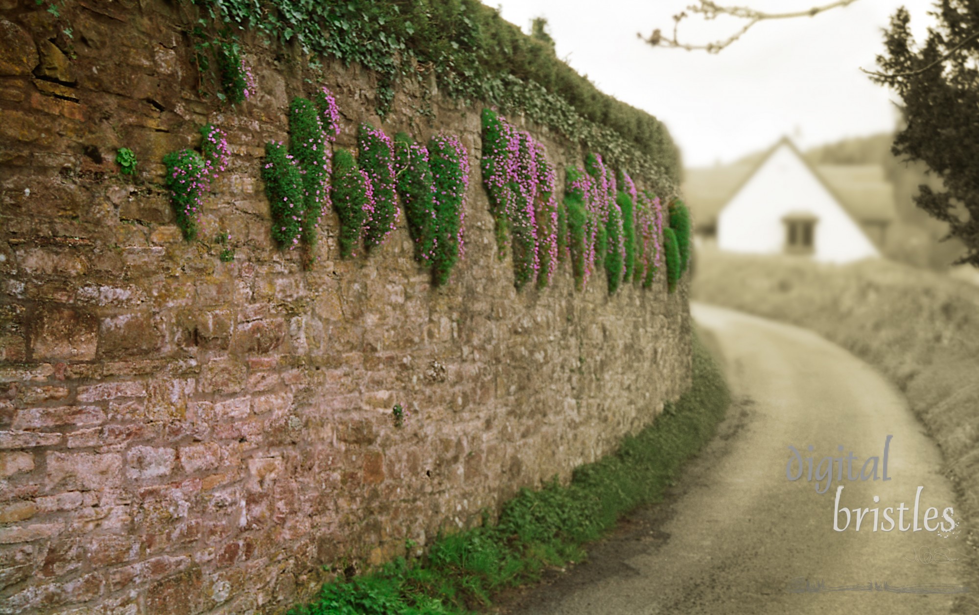 Country road in England