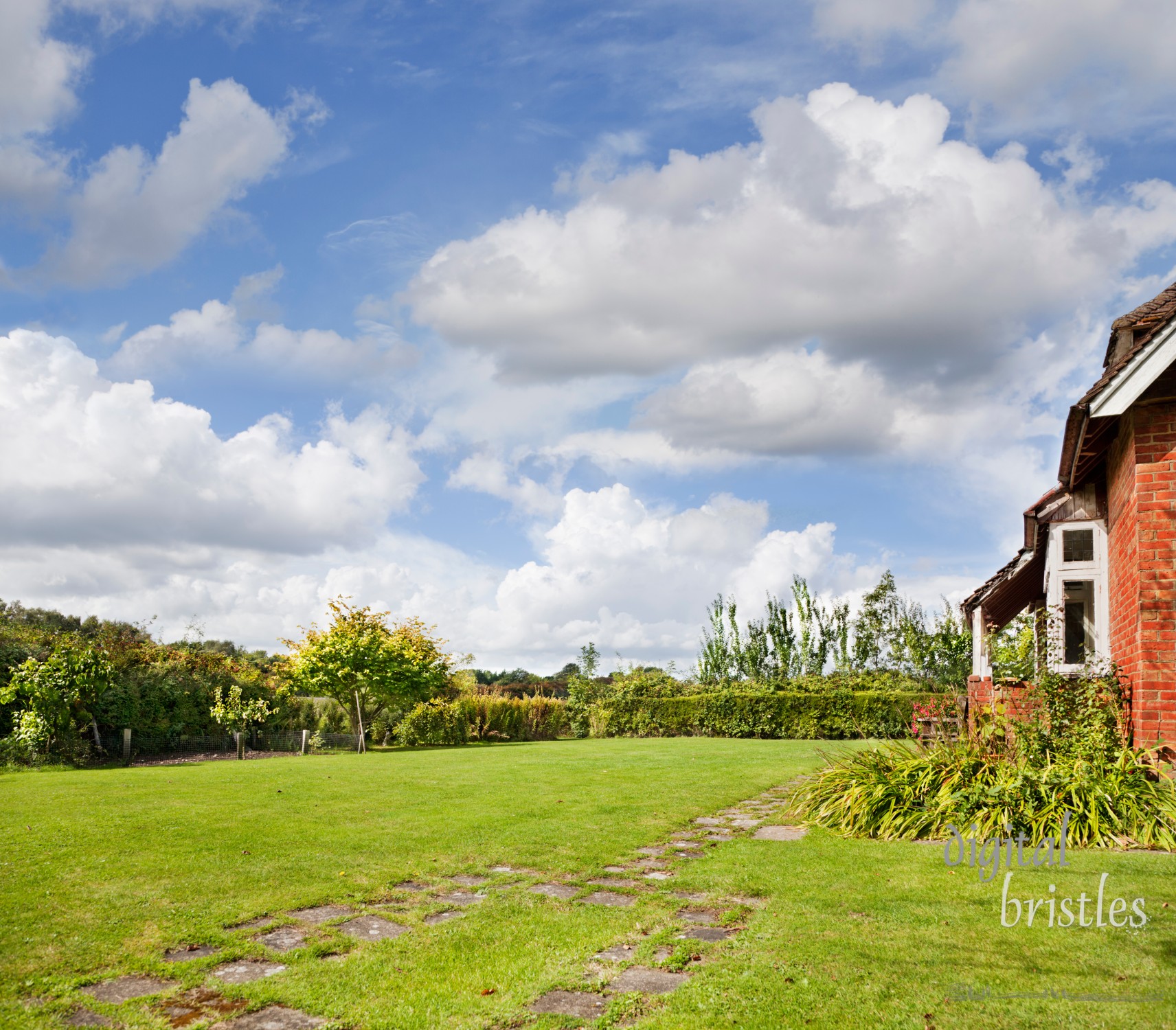 English country cottage garden on a sunny late summer day